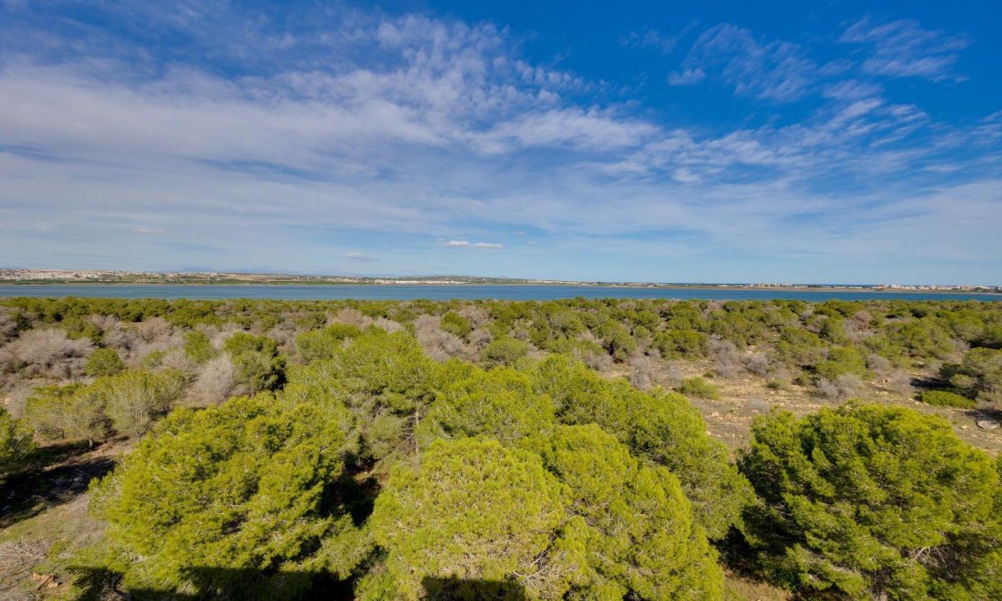 Resale - Apartment -
Torrevieja - La Siesta - El Salado - Torreta