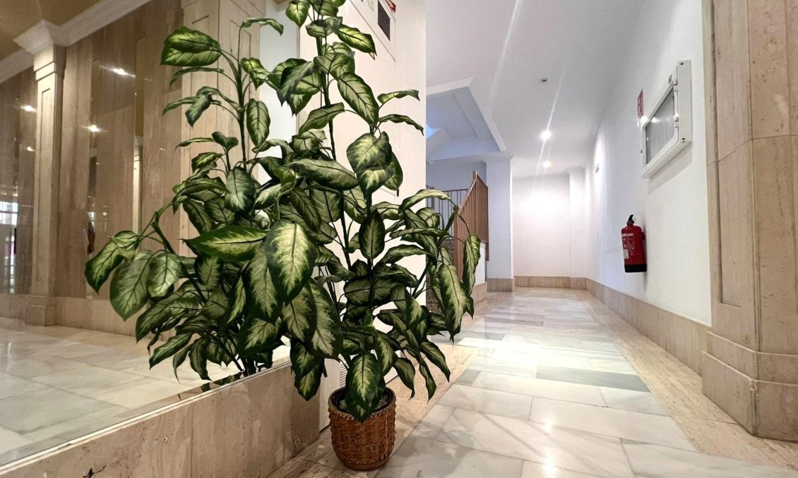 Revânzare - Apartament -
Torrevieja