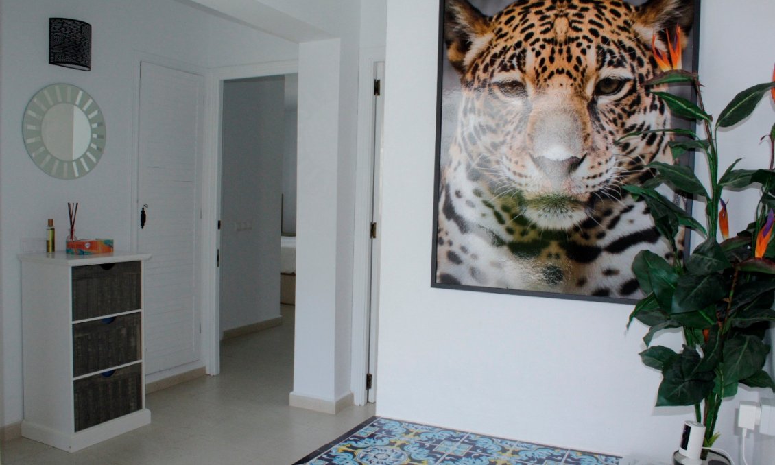 Segunda mano - Villa -
Orihuela Costa - Costa Blanca