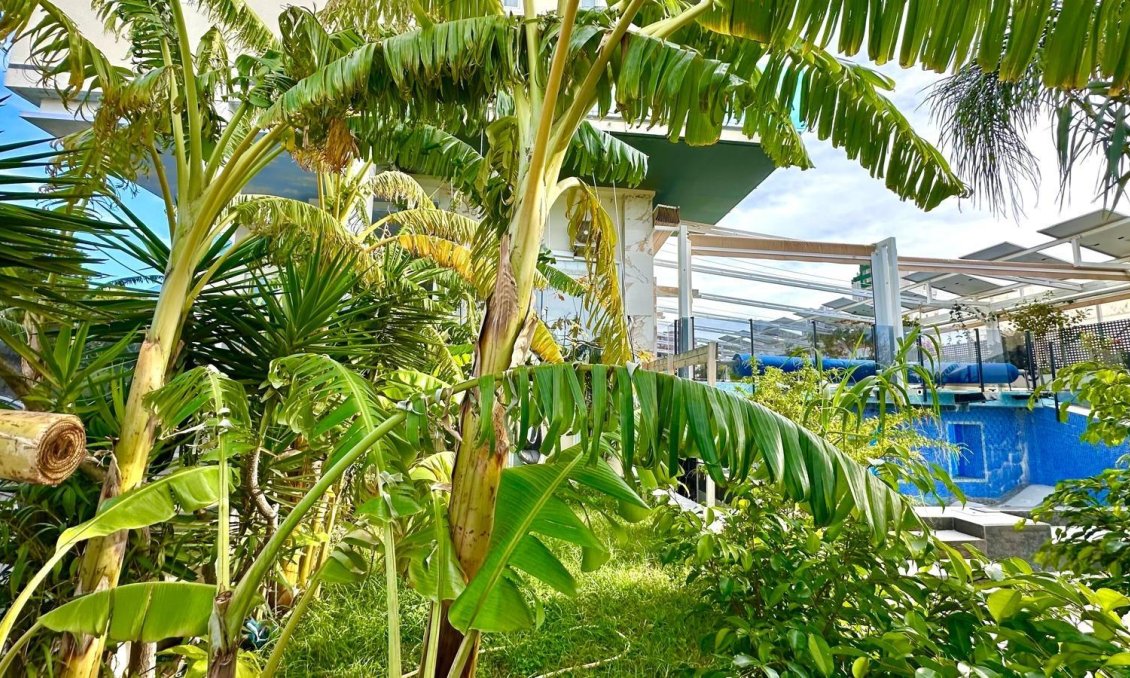 Resale - Apartment -
Finestrat