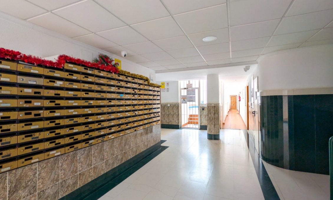 Használt Ingatlanok - Apartman -
Torrevieja - Costa Blanca