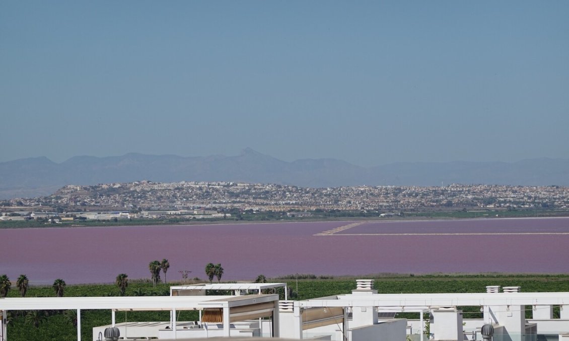 Használt Ingatlanok - Apartman Penthouse -
Torrevieja - Los Balcones