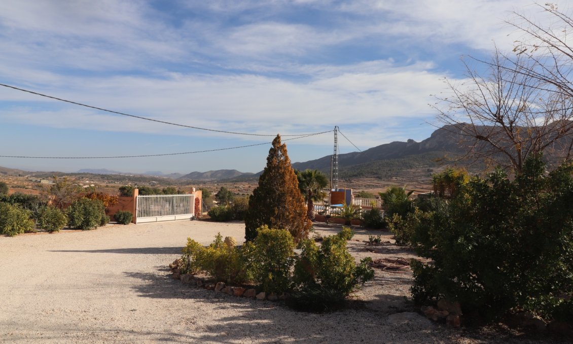 Revânzare - Vilă -
La Romana - Inland