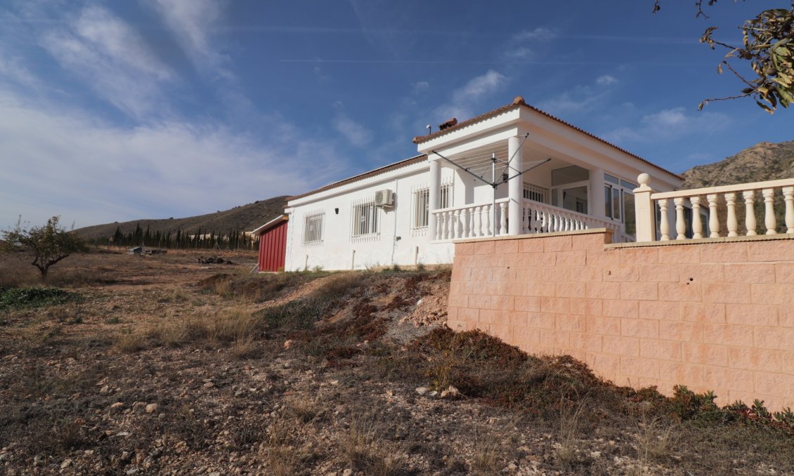 Revânzare - Vilă -
La Romana - Inland