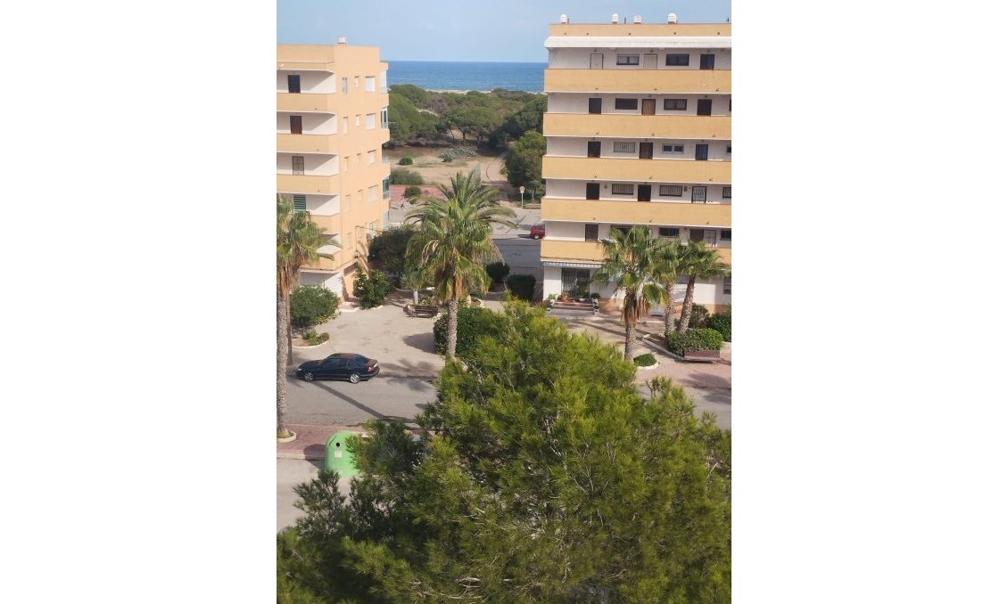 Használt Ingatlanok - Apartman -
Guardamar del Segura - Pinomar