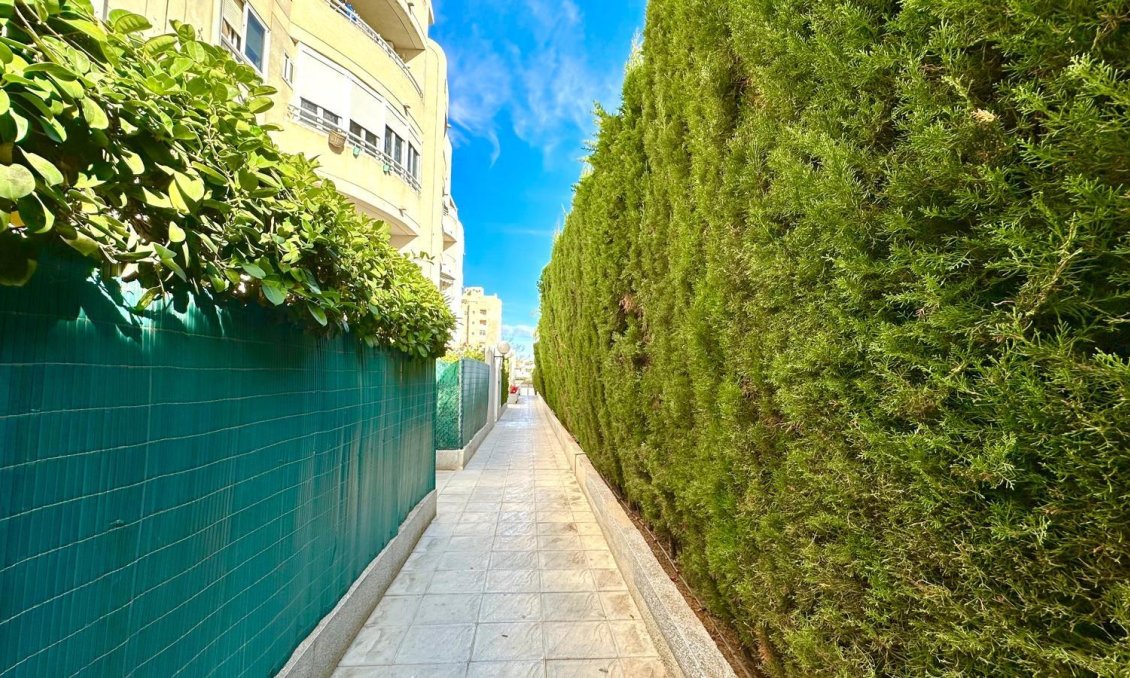 Használt Ingatlanok - Apartman -
Torrevieja - Playa del Cura