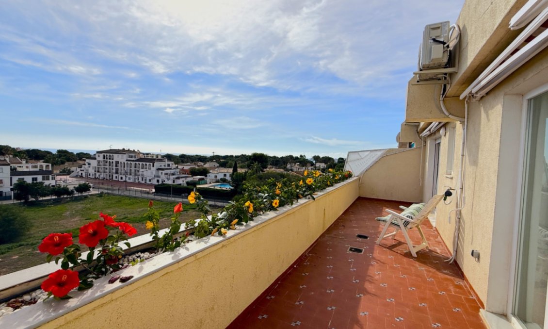 Használt Ingatlanok - Tetőtéri lakás -
Torrevieja - Costa Blanca