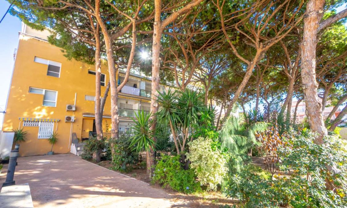 Használt Ingatlanok - Apartman -
Lo Pagan - Costa Calida