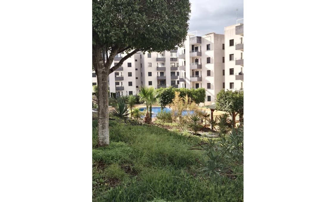 Használt Ingatlanok - Apartman -
San Miguel de Salinas - Inland