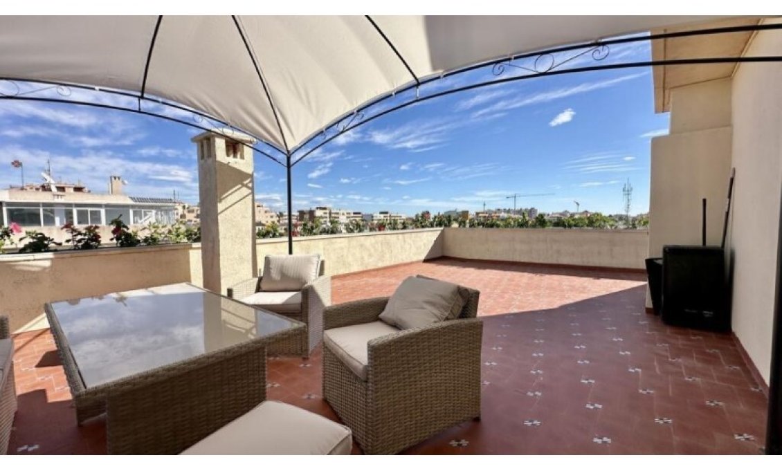 Használt Ingatlanok - Tetőtéri lakás -
Torrevieja - Costa Blanca