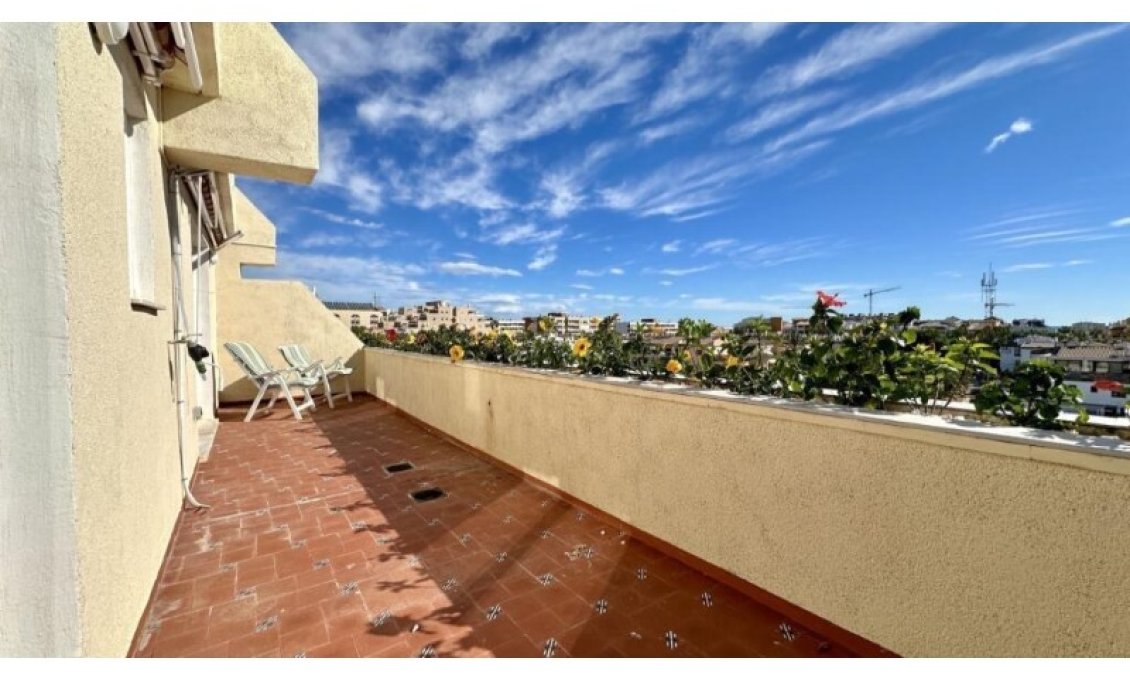 Használt Ingatlanok - Tetőtéri lakás -
Torrevieja - Costa Blanca