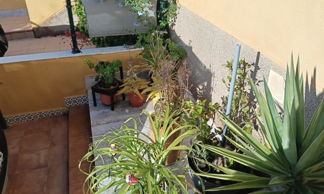 Használt Ingatlanok - Apartman -
Los Montesinos - Costa Blanca