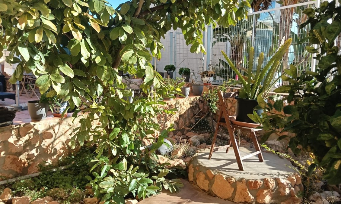 Használt Ingatlanok - Apartman -
Los Montesinos - Costa Blanca