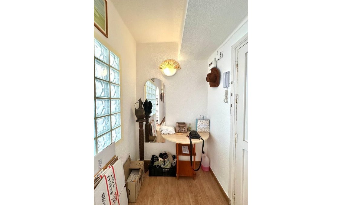 Használt Ingatlanok - Apartman -
Torrevieja - Estacion De Autobuses