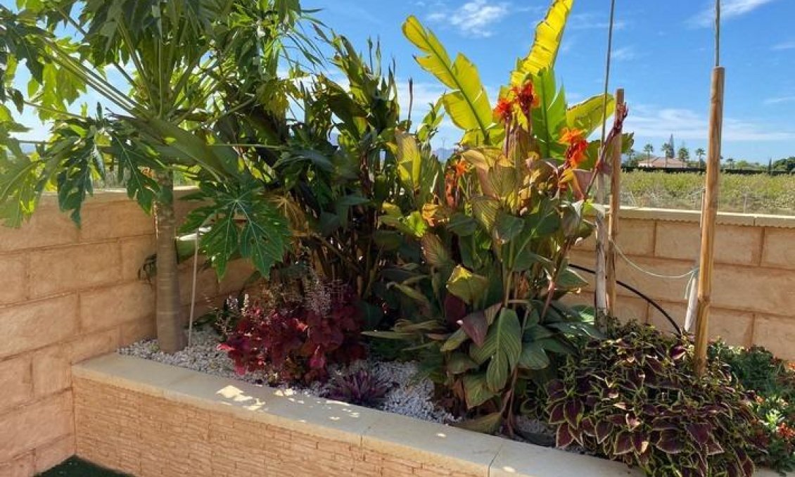 Használt Ingatlanok - Villa -
Albatera - Campo De Albatera