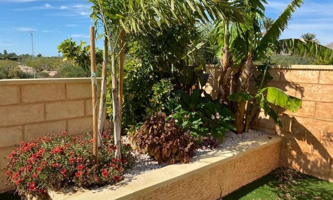 Használt Ingatlanok - Villa -
Albatera - Campo De Albatera