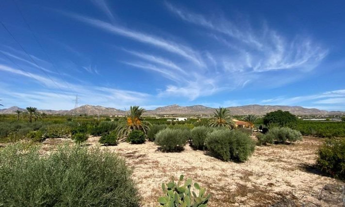 Használt Ingatlanok - Villa -
Albatera - Campo De Albatera