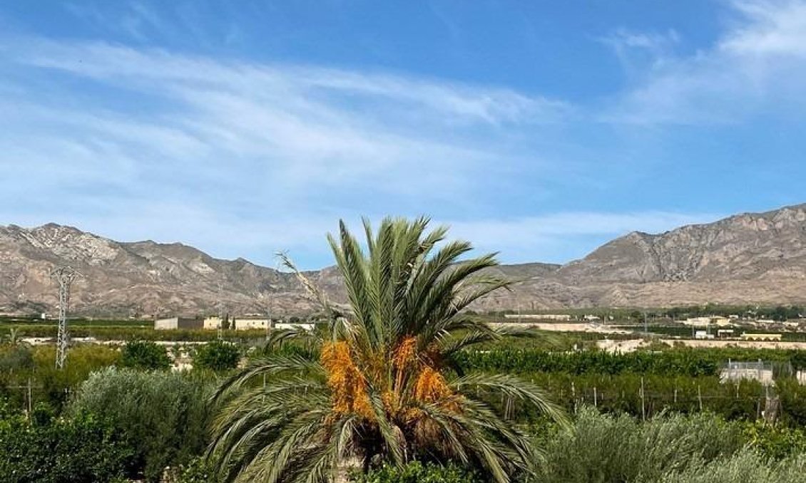 Használt Ingatlanok - Villa -
Albatera - Campo De Albatera