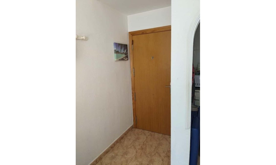 Használt Ingatlanok - Apartman -
Torrevieja - Playa del Cura