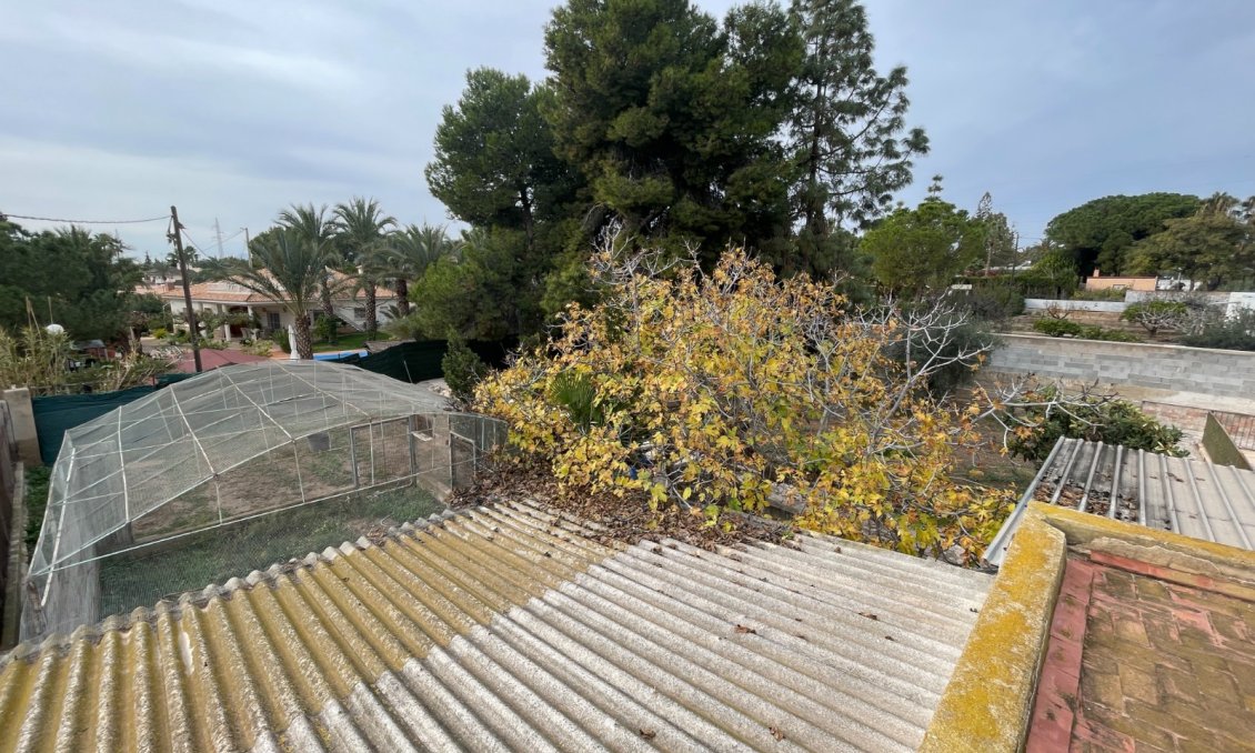 Használt Ingatlanok - Villa -
Elche - Costa Blanca