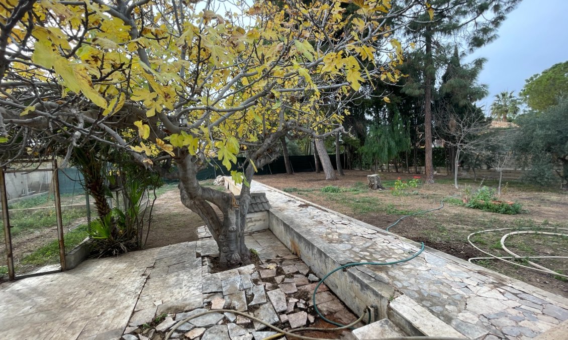 Használt Ingatlanok - Villa -
Elche - Costa Blanca