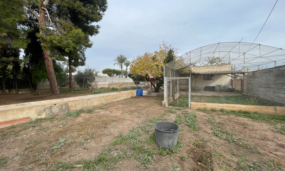 Használt Ingatlanok - Villa -
Elche - Costa Blanca