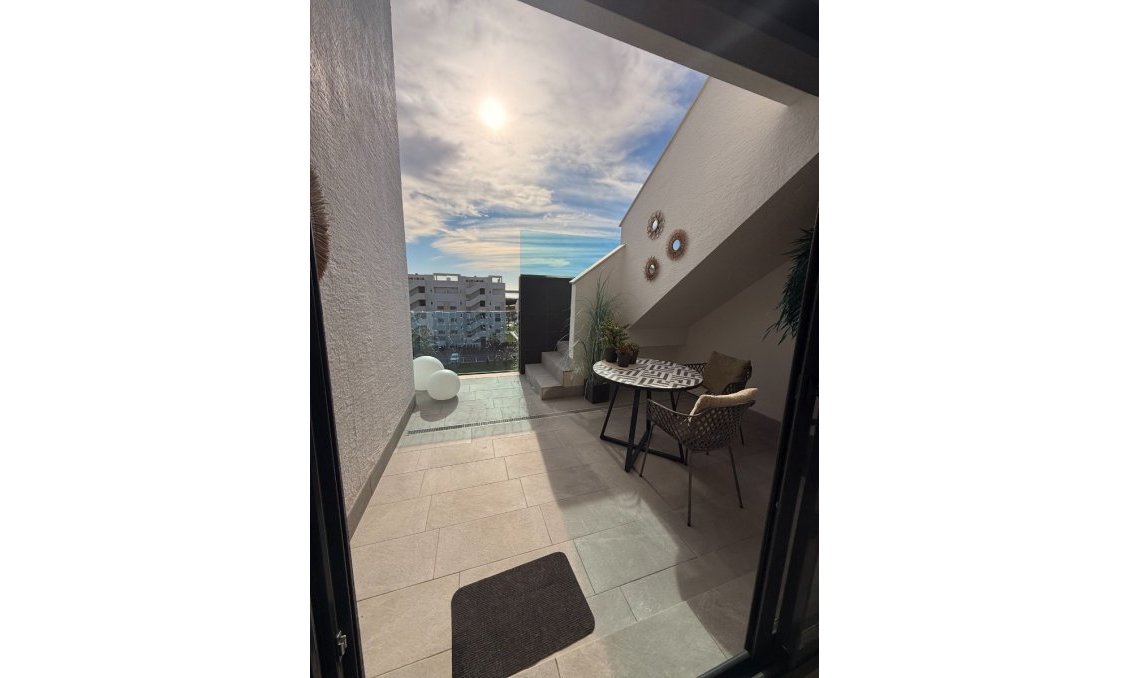 Használt Ingatlanok - Apartman -
Guardamar del Segura - Costa Blanca