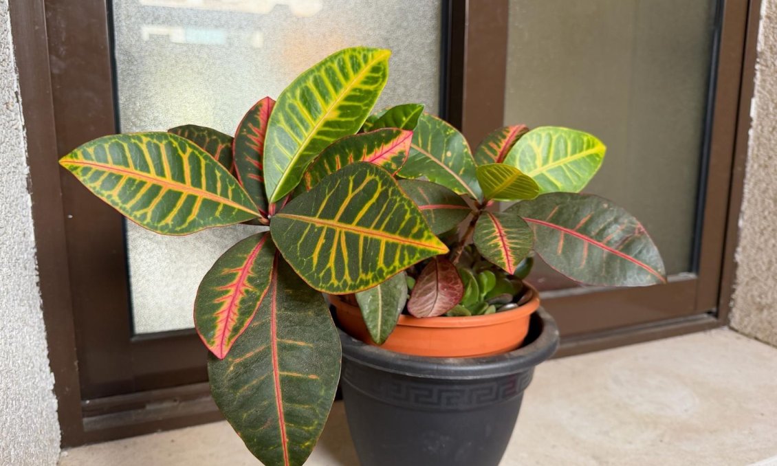 Használt Ingatlanok - Apartman -
Orihuela Costa - Las Ramblas