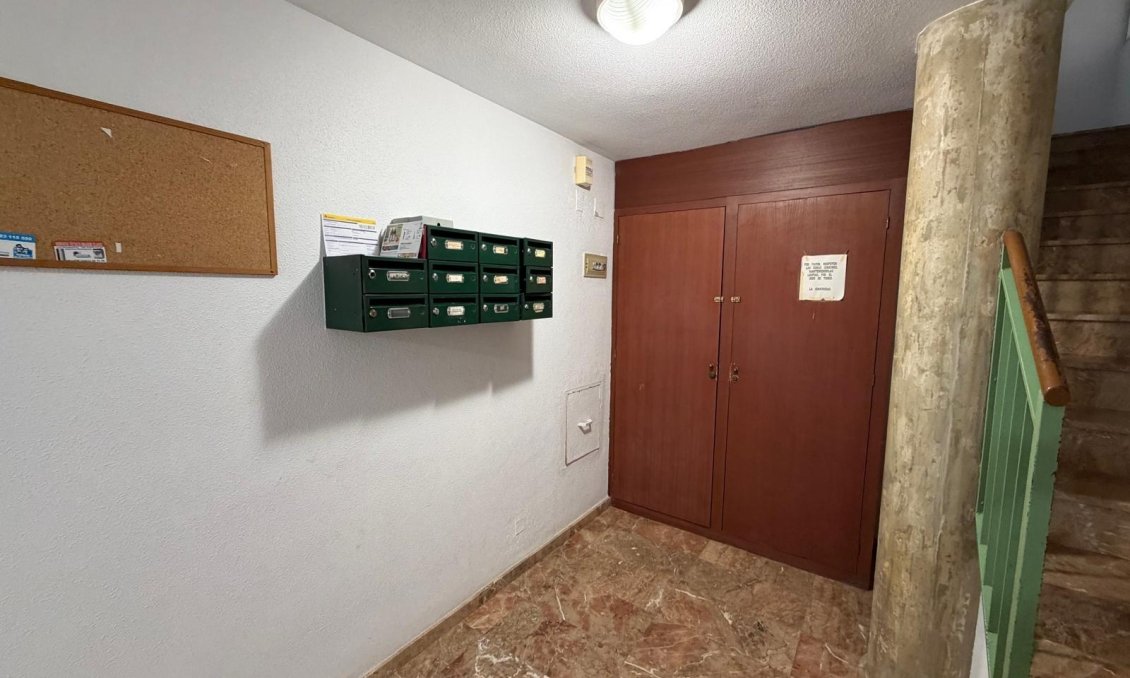 Használt Ingatlanok - Apartman -
Lo Pagan - Villananitos