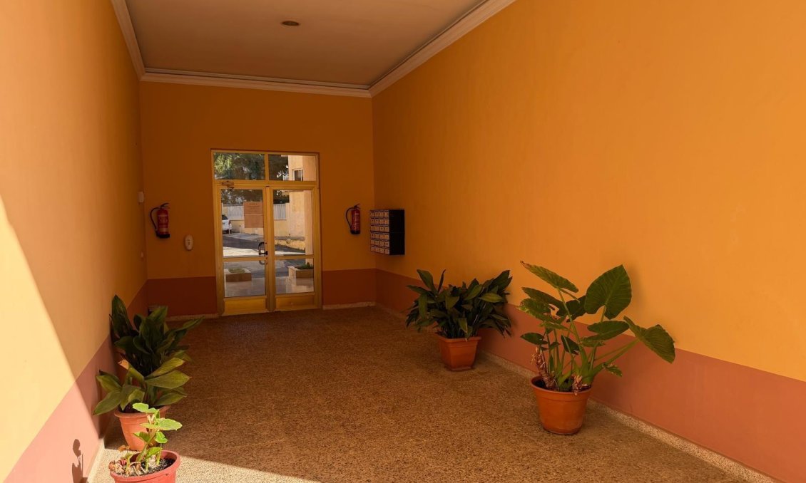 Használt Ingatlanok - Apartman -
Lo Pagan - Villananitos