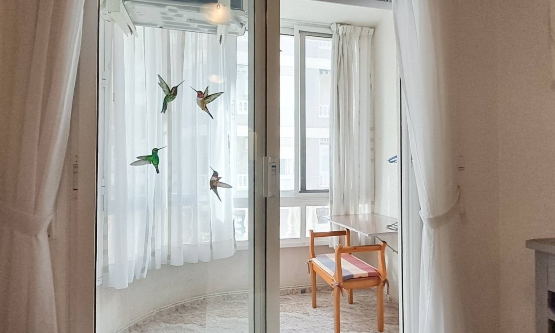 Használt Ingatlanok - Apartman -
Torrevieja - Playa del Cura