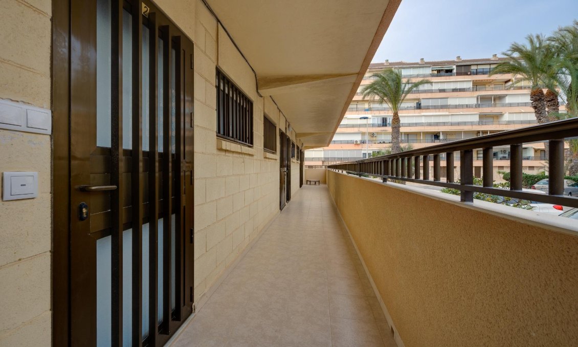 Használt Ingatlanok - Apartman -
Torrevieja - Cabo Cervera