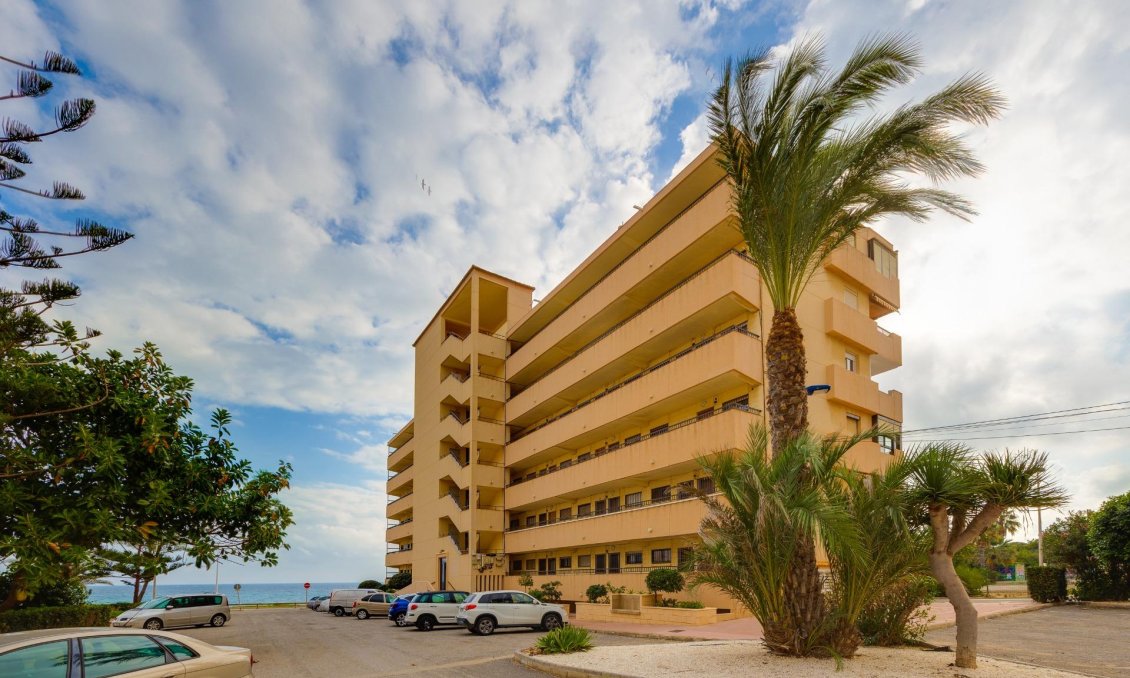 Használt Ingatlanok - Apartman -
Torrevieja - Cabo Cervera