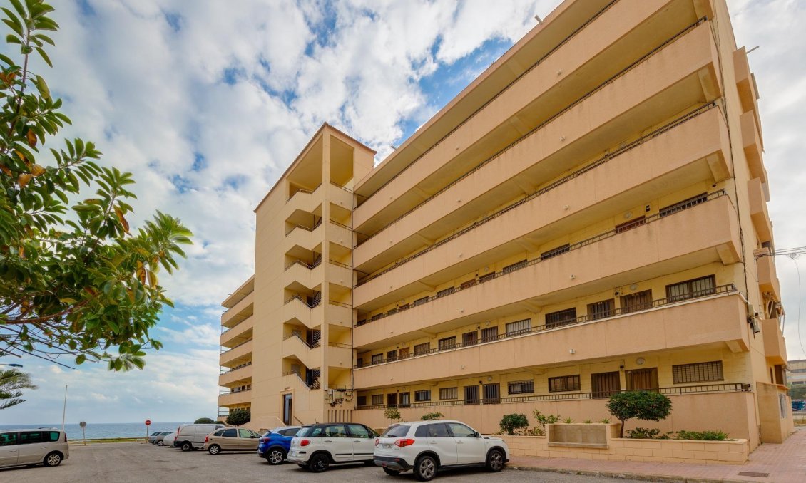 Használt Ingatlanok - Apartman -
Torrevieja - Cabo Cervera