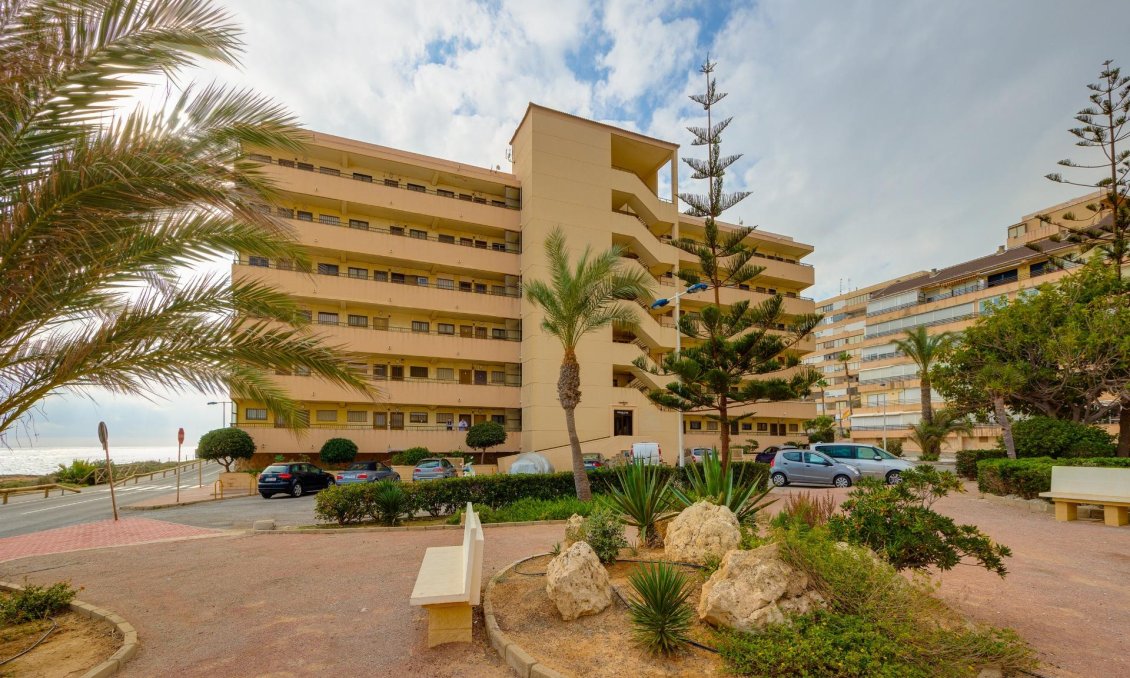 Használt Ingatlanok - Apartman -
Torrevieja - Cabo Cervera