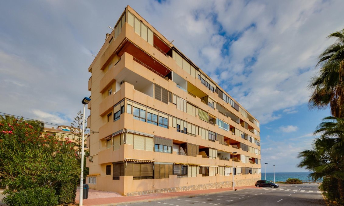 Használt Ingatlanok - Apartman -
Torrevieja - Cabo Cervera