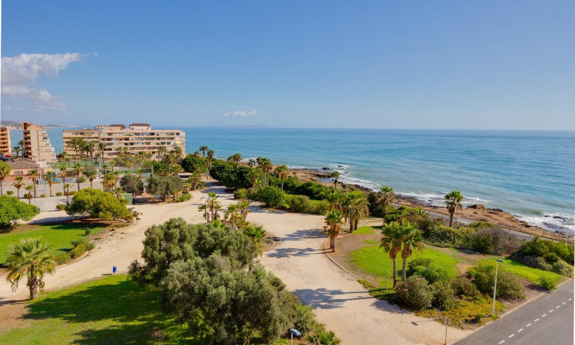 Használt Ingatlanok - Apartman -
Torrevieja - Cabo Cervera