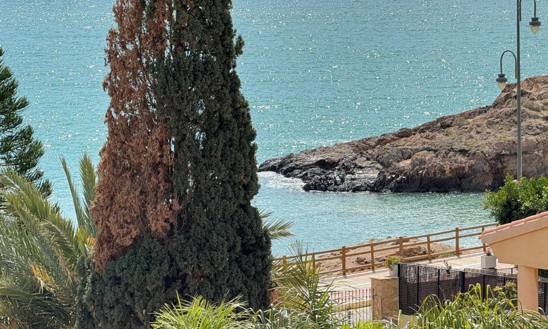 Használt Ingatlanok - Villa -
Mazarron - Bolnuevo