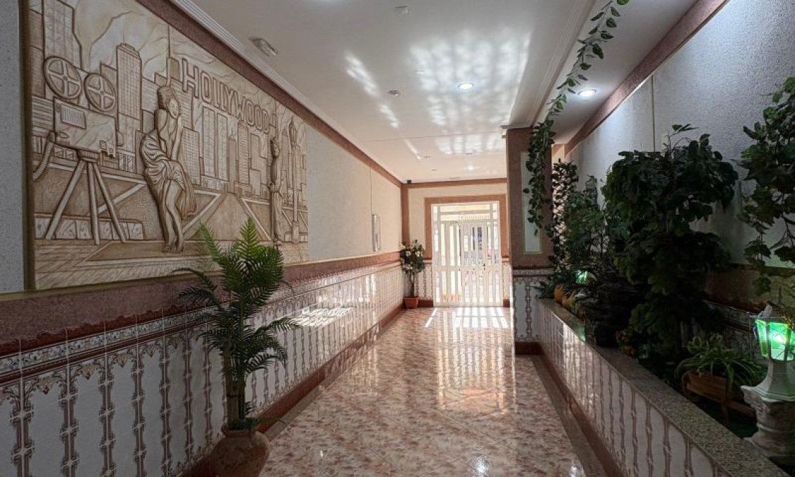 Használt Ingatlanok - Apartman -
Torrevieja - Costa Blanca