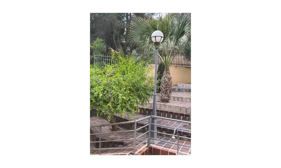 Resale - Villa -
El Palmar