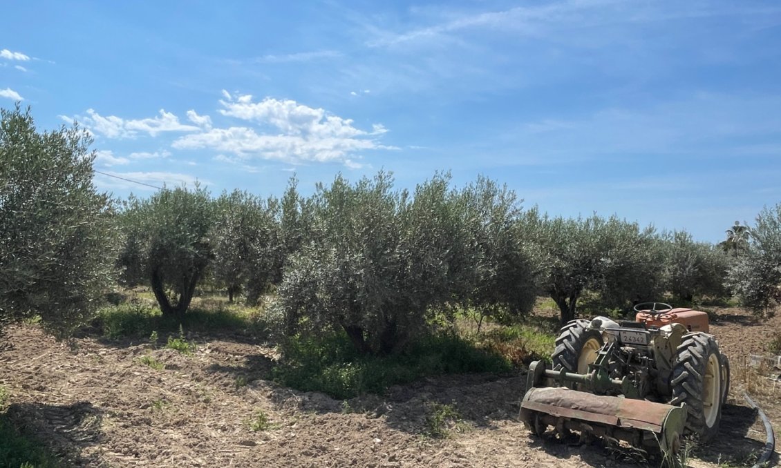 Használt Ingatlanok - Villa -
Crevillent - Inland