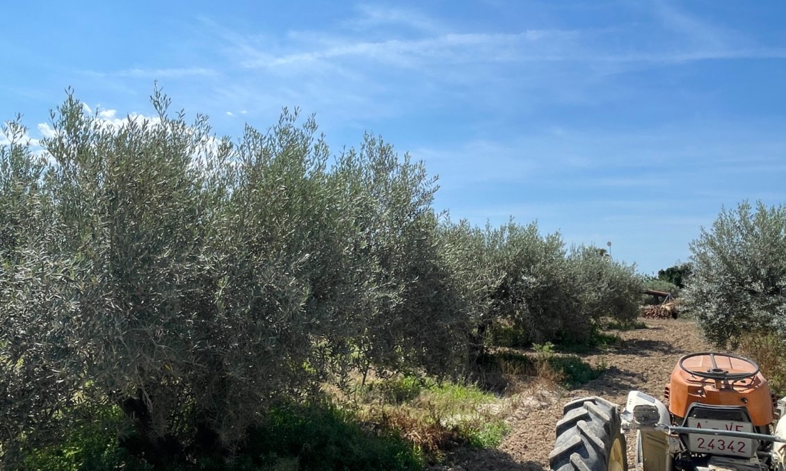 Használt Ingatlanok - Villa -
Crevillent - Inland