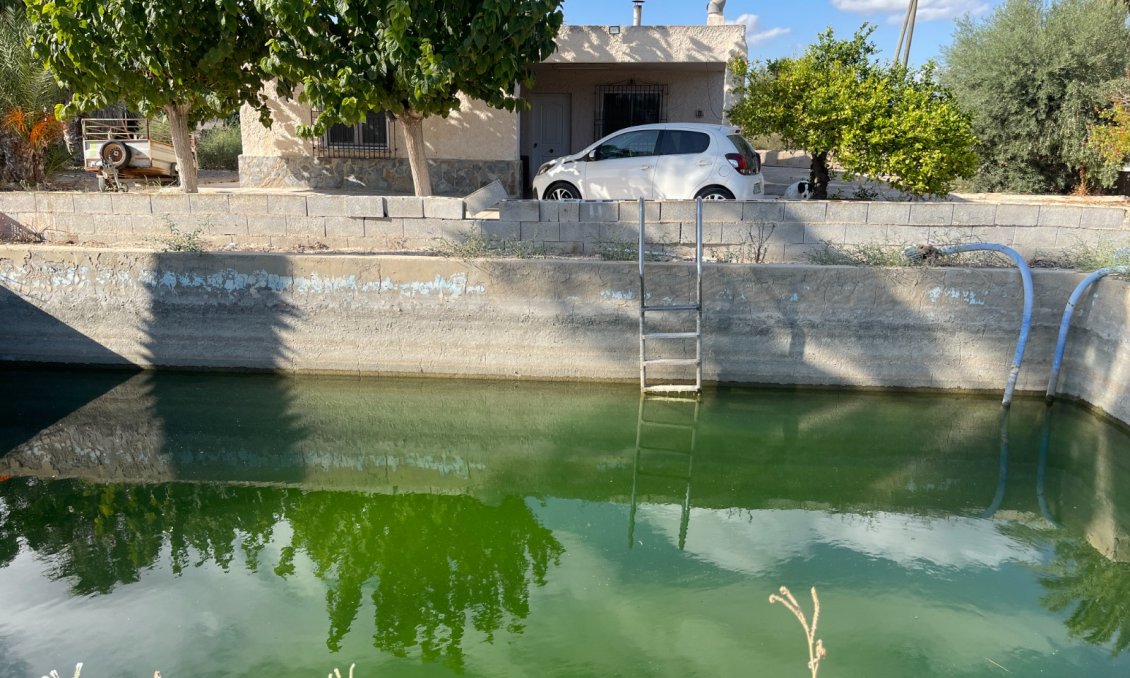 Használt Ingatlanok - Villa -
Crevillent - Inland