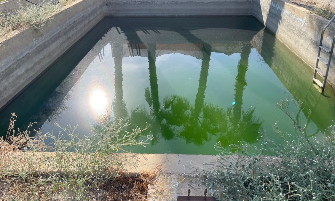 Használt Ingatlanok - Villa -
Crevillent - Inland