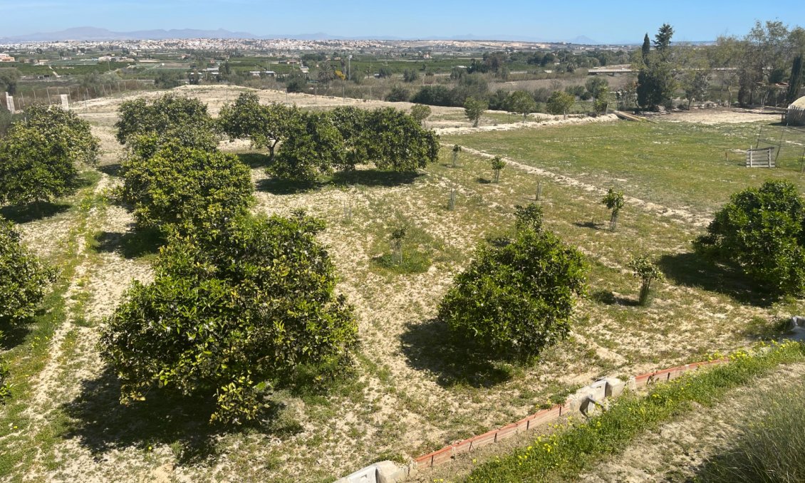 Használt Ingatlanok - Villa -
Guardamar del Segura - Costa Blanca