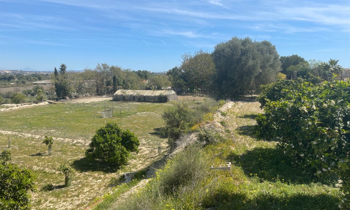 Használt Ingatlanok - Villa -
Guardamar del Segura - Costa Blanca