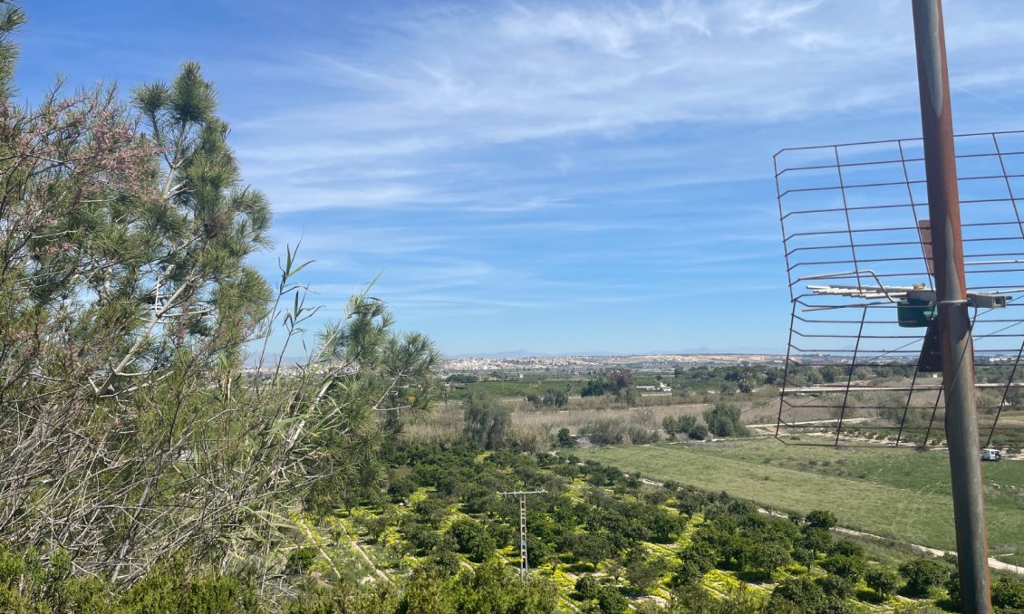 Használt Ingatlanok - Villa -
Guardamar del Segura - Costa Blanca