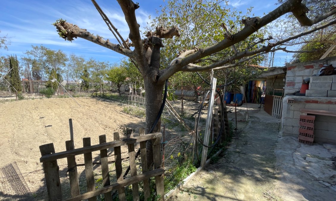 Használt Ingatlanok - Villa -
Guardamar del Segura - Costa Blanca