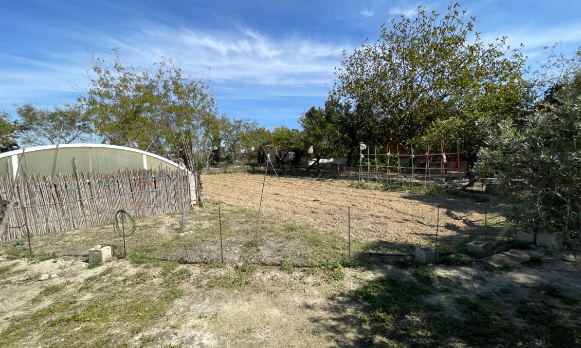 Használt Ingatlanok - Villa -
Guardamar del Segura - Costa Blanca