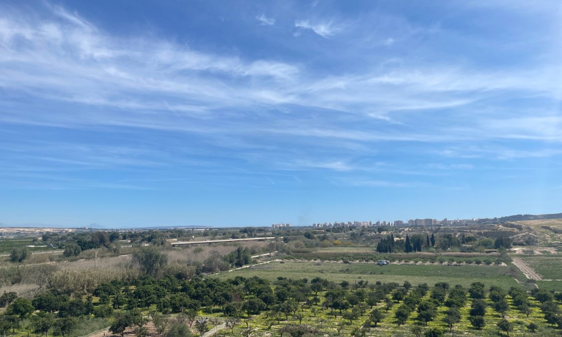 Használt Ingatlanok - Villa -
Guardamar del Segura - Costa Blanca